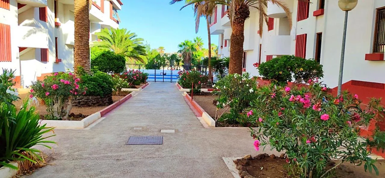 Διαμέρισμα Playa De Las Americas 600Mt From The Beach Internet Free